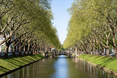 Canal amidst trees in park against sky