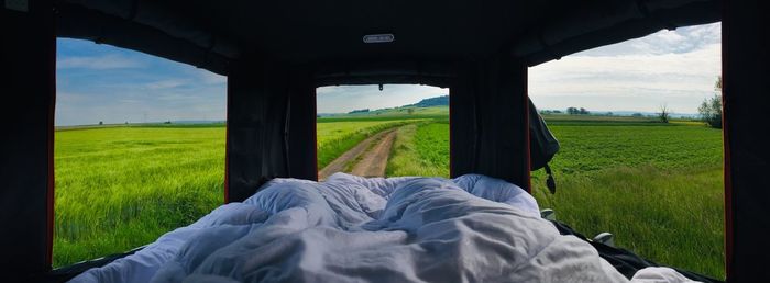 View from bed in nature in a rooftop tent
