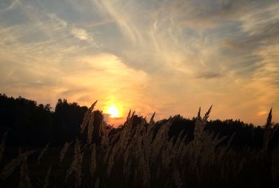 Scenic view of landscape at sunset