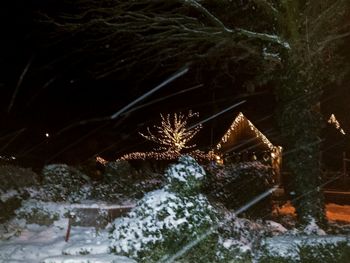 Blurred motion of trees at night
