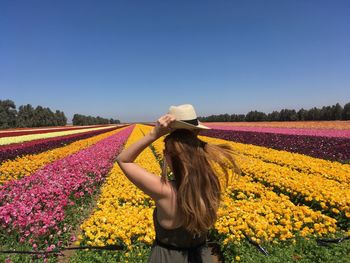 Rear view of woman standing amidst flowers field against clear blue sky