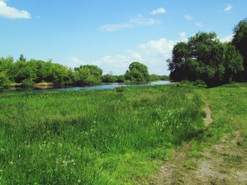 Scenic view of field against sky