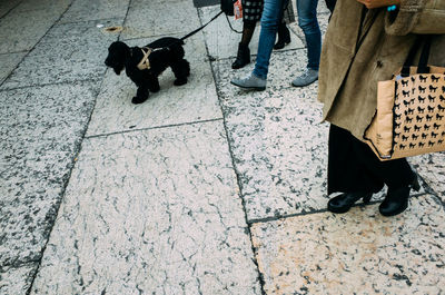 Low section of people with black dog on pathway