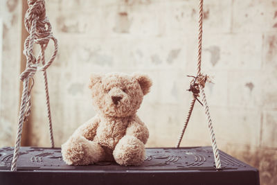 Teddy bear on swing against wall