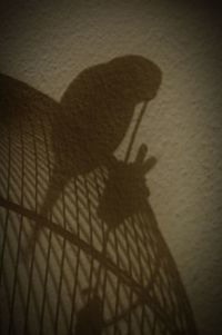 Shadow of man on wall