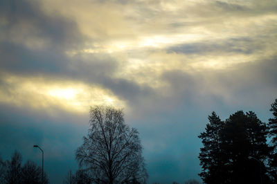 Low angle view of trees against dramatic sky