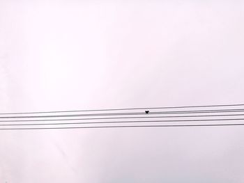 Low angle view of cables against sky