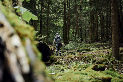 Rear view of man walking in forest