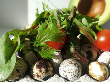 Close-up of fruits