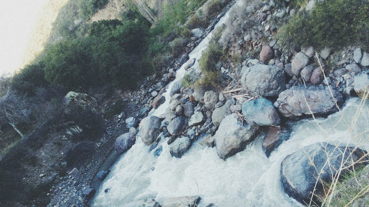 tree, nature, beauty in nature, tranquility, growth, high angle view, scenics, rock - object, tranquil scene, plant, day, water, outdoors, non-urban scene, no people, idyllic, winter, snow, forest, tree trunk