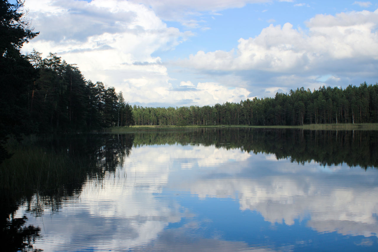 SCENIC VIEW OF LAKE AND TREES AGAINST SKY