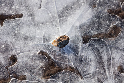 Directly above shot of rock on frozen lake