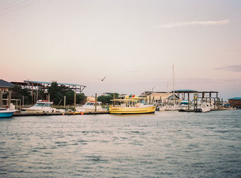 Boats moored at harbor against clear sky