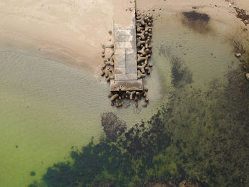 High angle view of plants by river