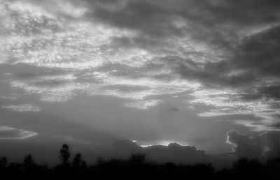 Scenic view of trees against sky