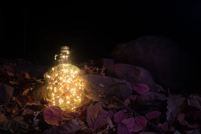 Illuminated christmas lights on rock at night