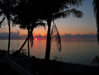 Silhouette trees on beach against sky during sunset