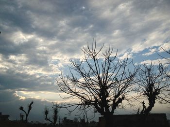 Silhouette bare tree against sky