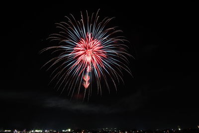 Low angle view of firework display at night