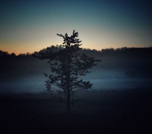 Silhouette trees on field against sky at sunset
