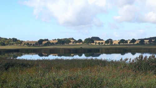 Scenic view of lake against sky