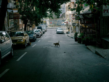 View of a street in a city