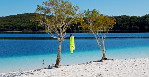 Scenic view of lake by trees against clear blue sky