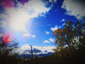 Low angle view of silhouette trees against sky on sunny day