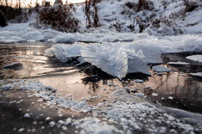 Close-up of snow on land