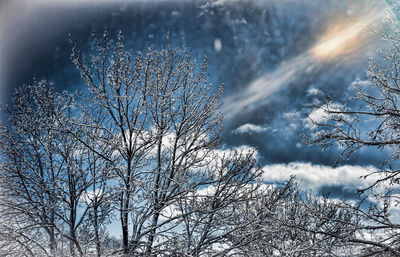 Low angle view of bare trees against cloudy sky