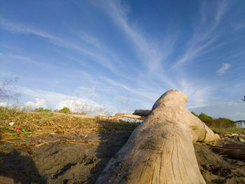 Wooden fence on field against sky