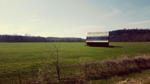 Scenic view of grassy field against sky