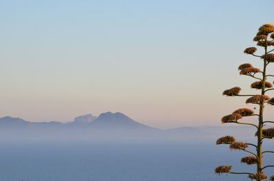 Scenic view of sea against clear sky during sunset