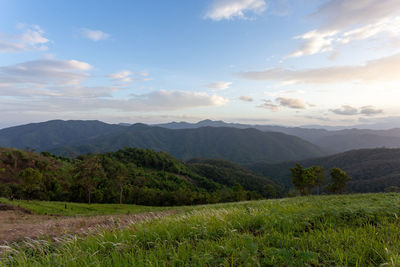 environment