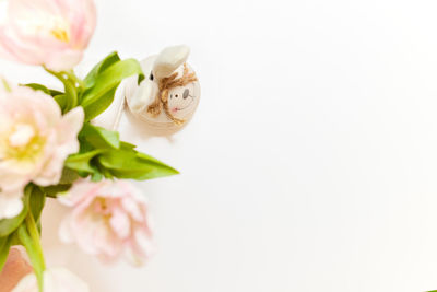 Close-up of white roses against gray background