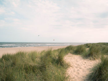 Scenic view of beach against sky