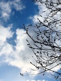 Low angle view of silhouette tree against sky