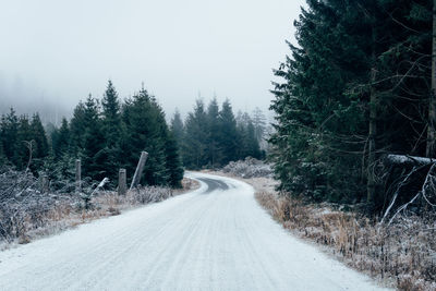 Road amidst trees in forest during winter