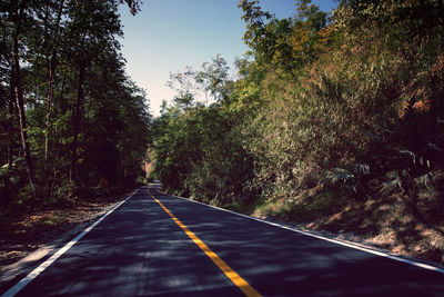 Rural country road on the rush green forest mountain range of doi phuka national reserved park,