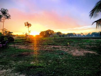 Silhouette trees on field against sky during sunset