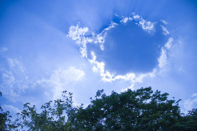 Low angle view of trees against sky