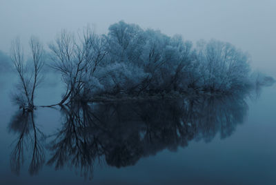 Reflection of tree in lake against sky during winter