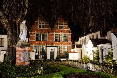 Houses and trees in city at night