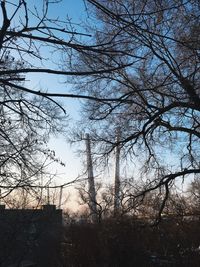 Low angle view of bare trees against sky