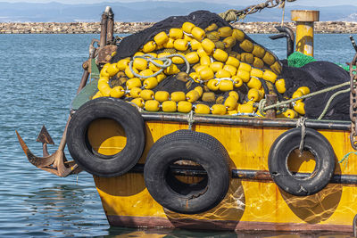 High angle view of fruits in water