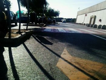 Shadow of trees on the wall