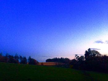 Trees on field against clear blue sky