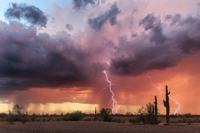 Monsoon thunderstorm with lightning in the sonoran desert near quartzsite, arizona