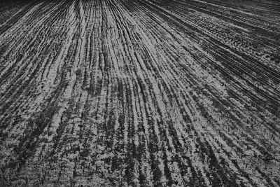 Full frame shot of tire tracks