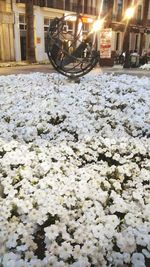 Snow covered road at night
